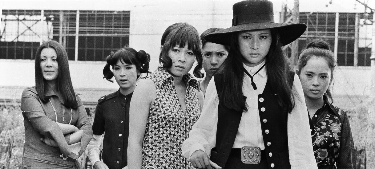 Meiko Kaji Stray Cat Rock Sex Hunter